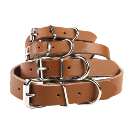 Collar de cuero para perro
