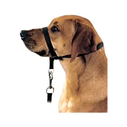 Halter para perro