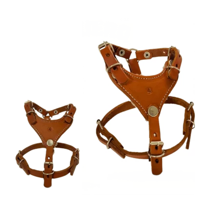 Pechera de cuero para perro